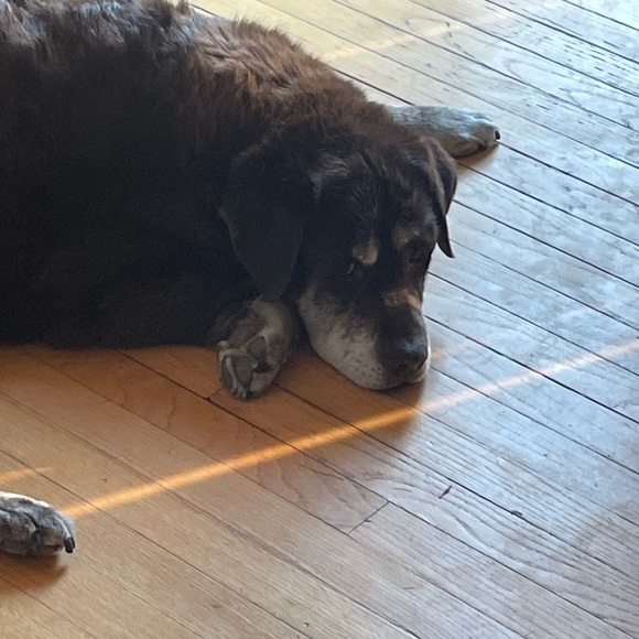 Meet your Posher, Angela - Picture 4 of 16